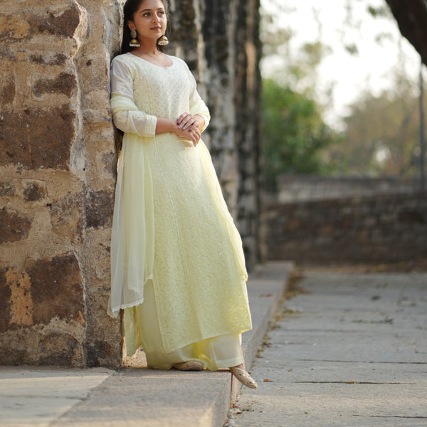 01FJ Jabili Chikankari Kurti Plazo Set