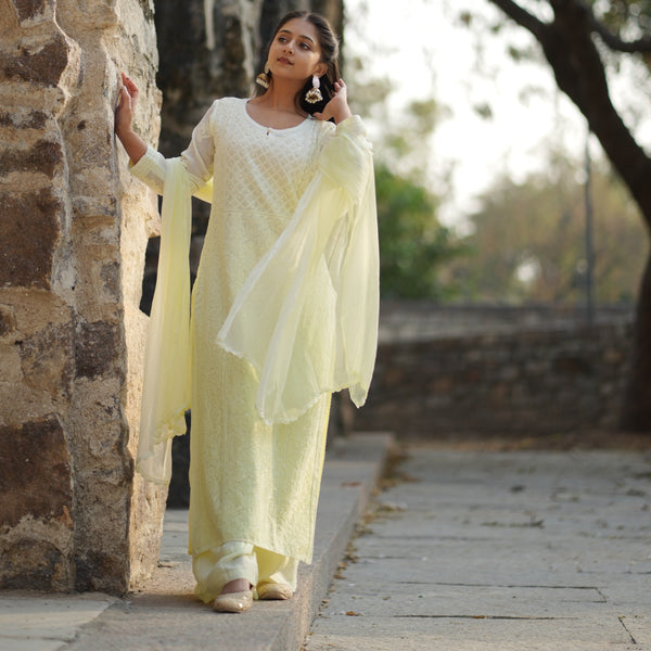 01FJ Jabili Chikankari Kurti Plazo Set
