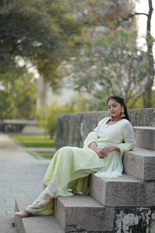 01FJ Jabili Chikankari Kurti Plazo Set