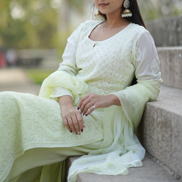 01FJ Jabili Chikankari Kurti Plazo Set