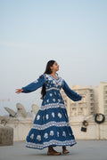 02FJ Jabili Ikkat Print Chikankari Gown