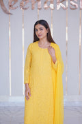 30M Medha Chikankari Kurti Plazo set