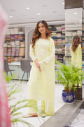 33M Medha Chikankari Kurti Pant Set