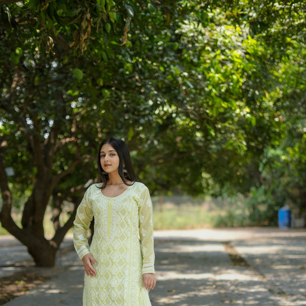 05SJ Jabili Chikankari Straight Kurti Narrow Pant Set