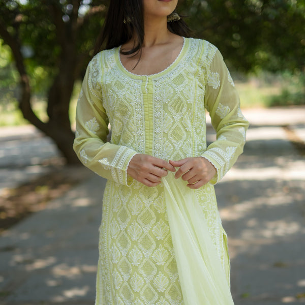 05SJ Jabili Chikankari Straight Kurti Narrow Pant Set