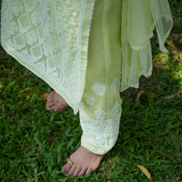 05SJ Jabili Chikankari Straight Kurti Narrow Pant Set